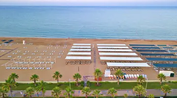 Hane Sun Elite