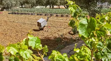Hara Ilios Village