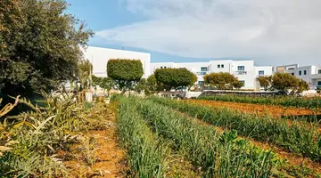Hara Ilios Village