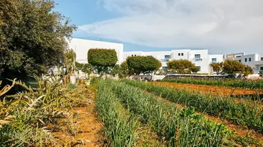 Hara Ilios Village