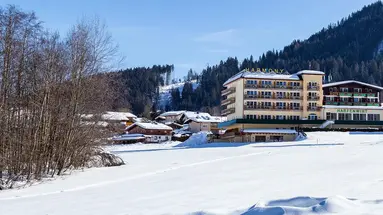 Harmony Hotel Harfenwirt