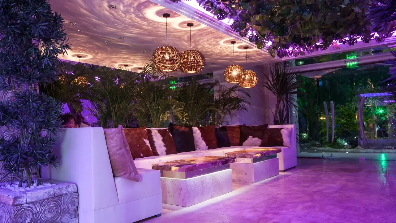 Harmony Suites 1, 2 and 3 Jungle