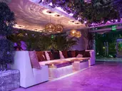 Harmony Suites 1, 2 and 3 Jungle