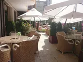 Harmony Suites 1, 2 and 3 Jungle
