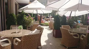 Harmony Suites 1, 2 and 3 Jungle