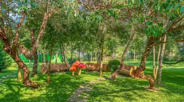 Harmony Suites 11, 12 Grand Resort