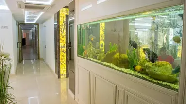 Harmony Suites Dream Island Aparthotel