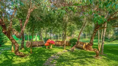 Harmony Suites Grand Resort Aparthotel