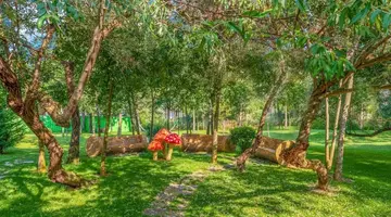 Harmony Suites Grand Resort Deluxe