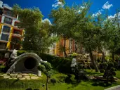 Harmony Suites Jungle Aparthotel
