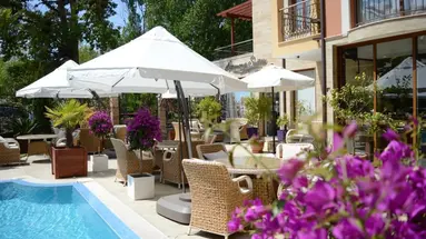 Harmony Suites Jungle