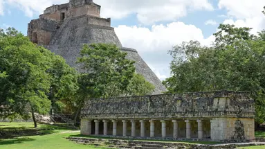 Hasta la vista Mexico! Premium