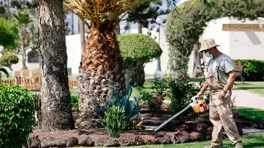 HD Parque Cristobal Gran Canaria