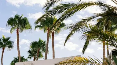 HD Parque Cristobal Tenerife