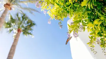 HD Parque Cristobal Tenerife