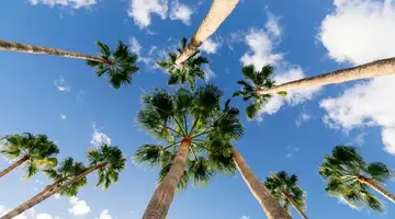 HD Parque Cristobal Tenerife