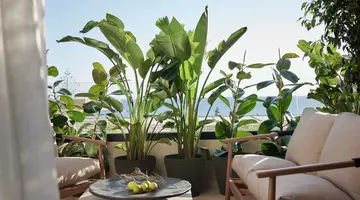 HELEA LIFESTYLE BEACH RESORT