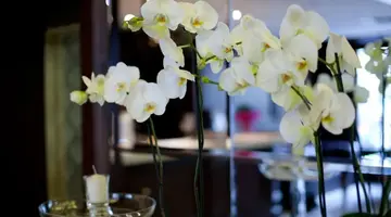Hera Hotel