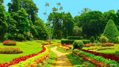 Herbaciana Sri Lanka