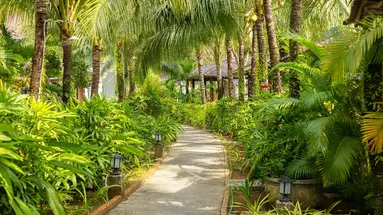 HERBAL RESORT PHU QUOC (EX. ELWOOD PREMIER RESORT)