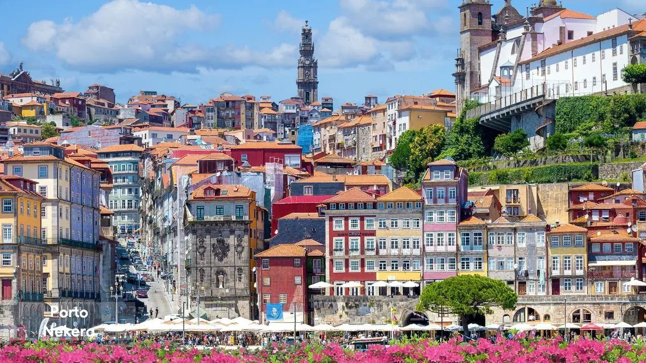 HF Tuela Porto Ala Sul