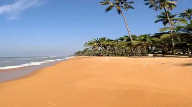 HIBISCUS BEACH HOTEL
