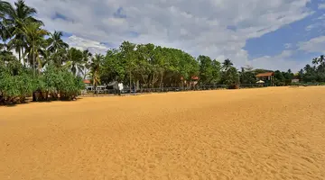 HIBISCUS BEACH HOTEL