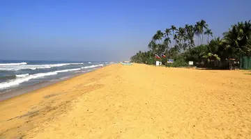 HIBISCUS BEACH HOTEL