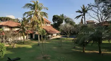 Hibiscus Beach