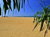 Hibiscus Beach