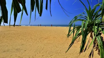 Hibiscus Beach