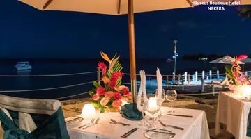Hibiscus Boutique Hotel