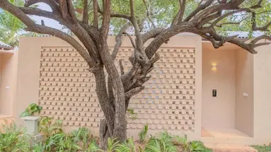 Hidden Secrets Dambulla
