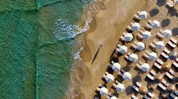 High Beach White