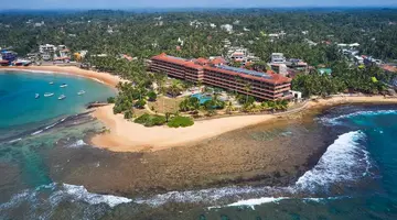 Hikka Tranz by Cinnamon