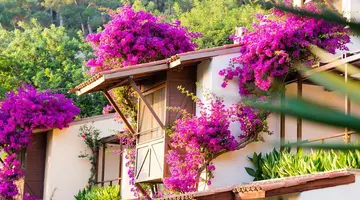 HILLSIDE BEACH CLUB