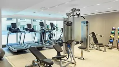 Hilton Garden Inn Dubai, Mall Avenue (former Hilton Garden Inn Hotel Mall of Emirates)