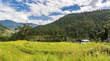 Himalajskie Tajemnice: Nepal i Bhutan