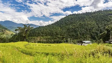 Himalajskie Tajemnice: Nepal i Bhutan