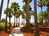 Hipotels Mediterráneo Club
