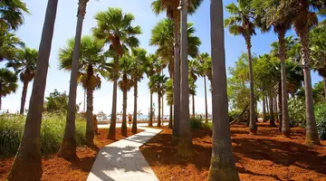 Hipotels Mediterráneo Club
