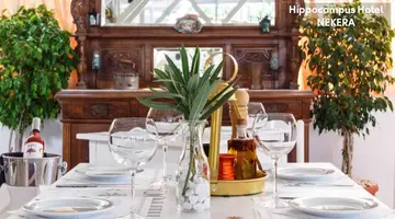 Hippocampus Hotel