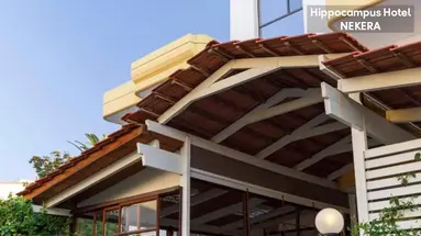 Hippocampus Hotel