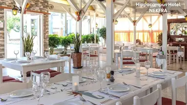 Hippocampus Hotel