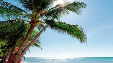 Hoang Ngoc Beach Resort (Oriental Pearl Hoang Ngoc)