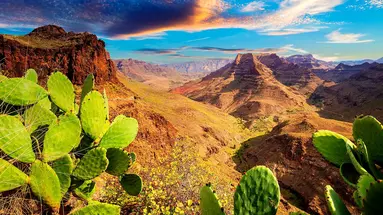 Hola Gran Canaria!