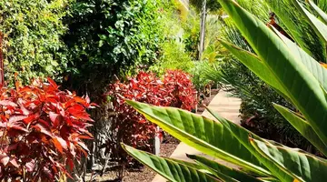 Holiday Club Playa Amadores