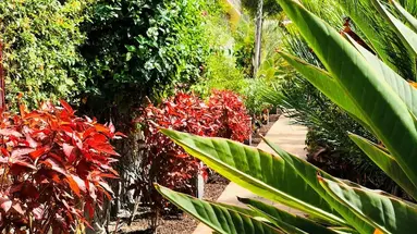 Holiday Club Playa Amadores