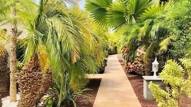Holiday Club Playa Amadores