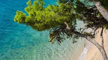 HOLIDAY VILLAGE SAGITTA